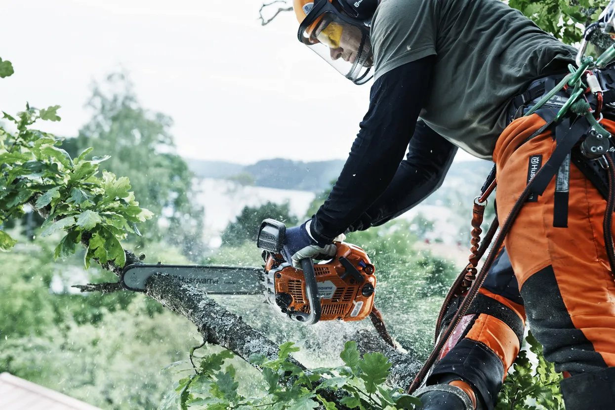 Husqvarna T540XP II Chainsaw