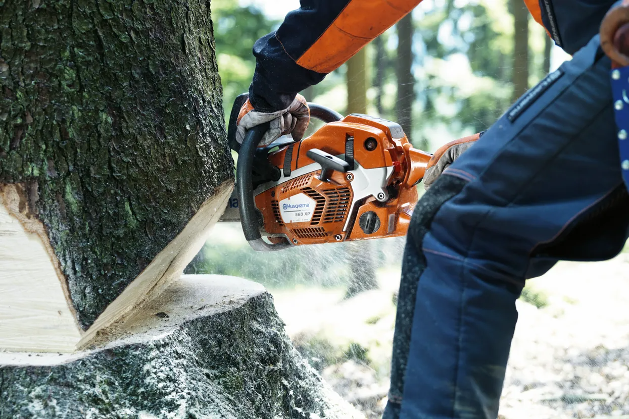 Husqvarna 562XP 20" Chainsaw